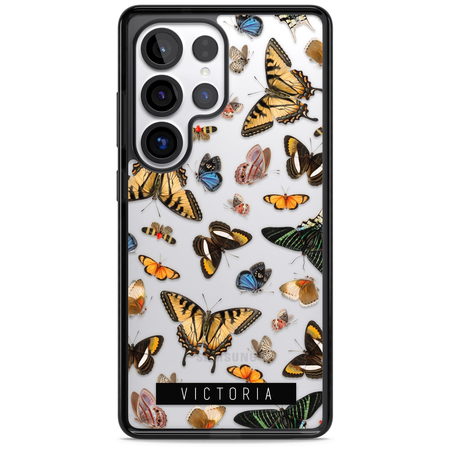 Archives de papillons personnalisées