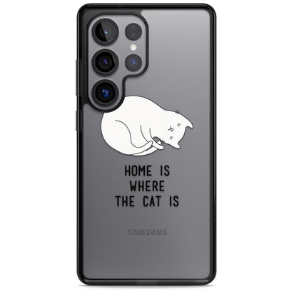 Home Is Where The Cat Is