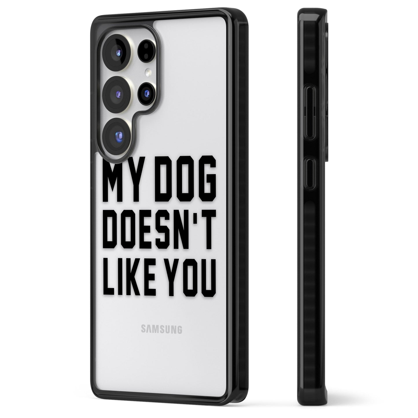 My Dog Doesn'T Like You