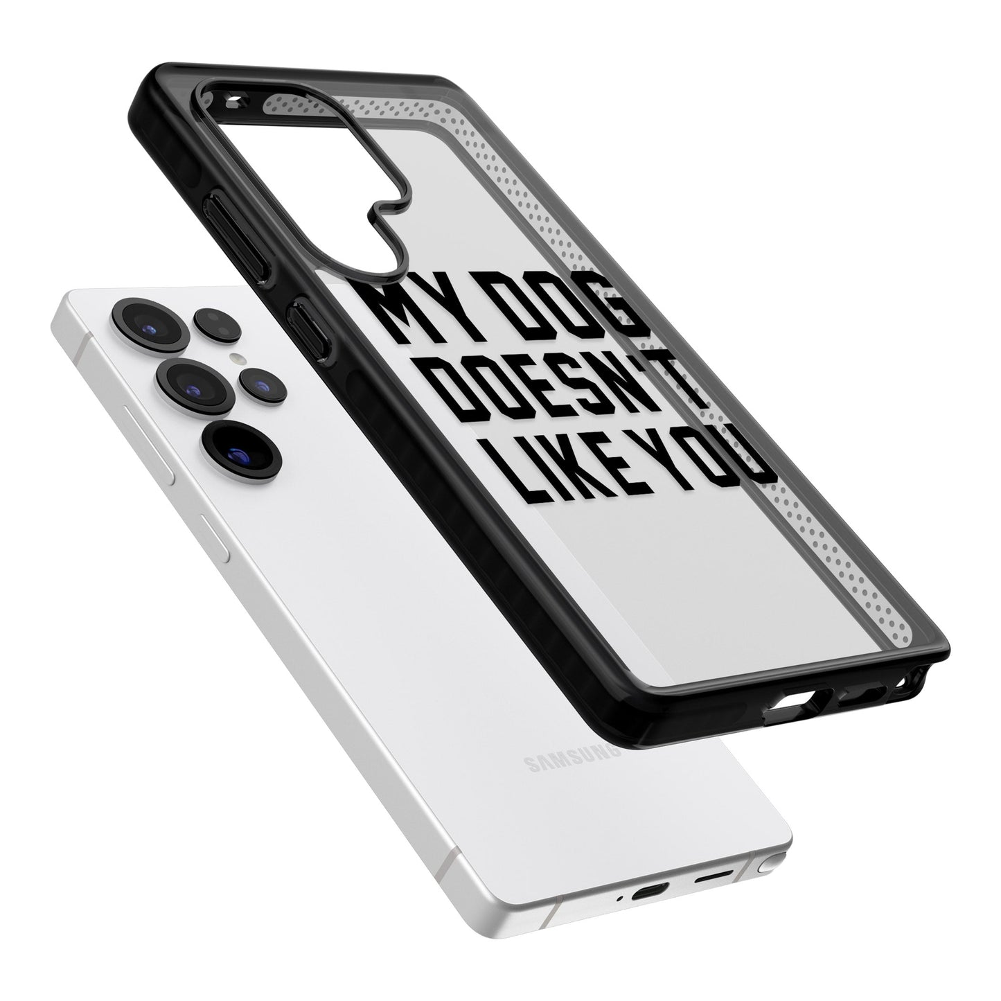 My Dog Doesn'T Like You