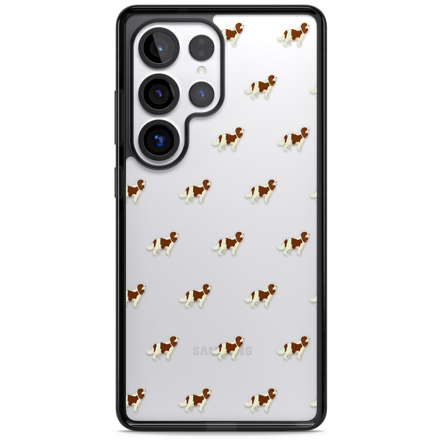 Cavalier King Charles Hundemuster