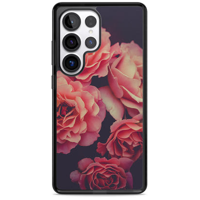 Mitternachtsrosenblüte