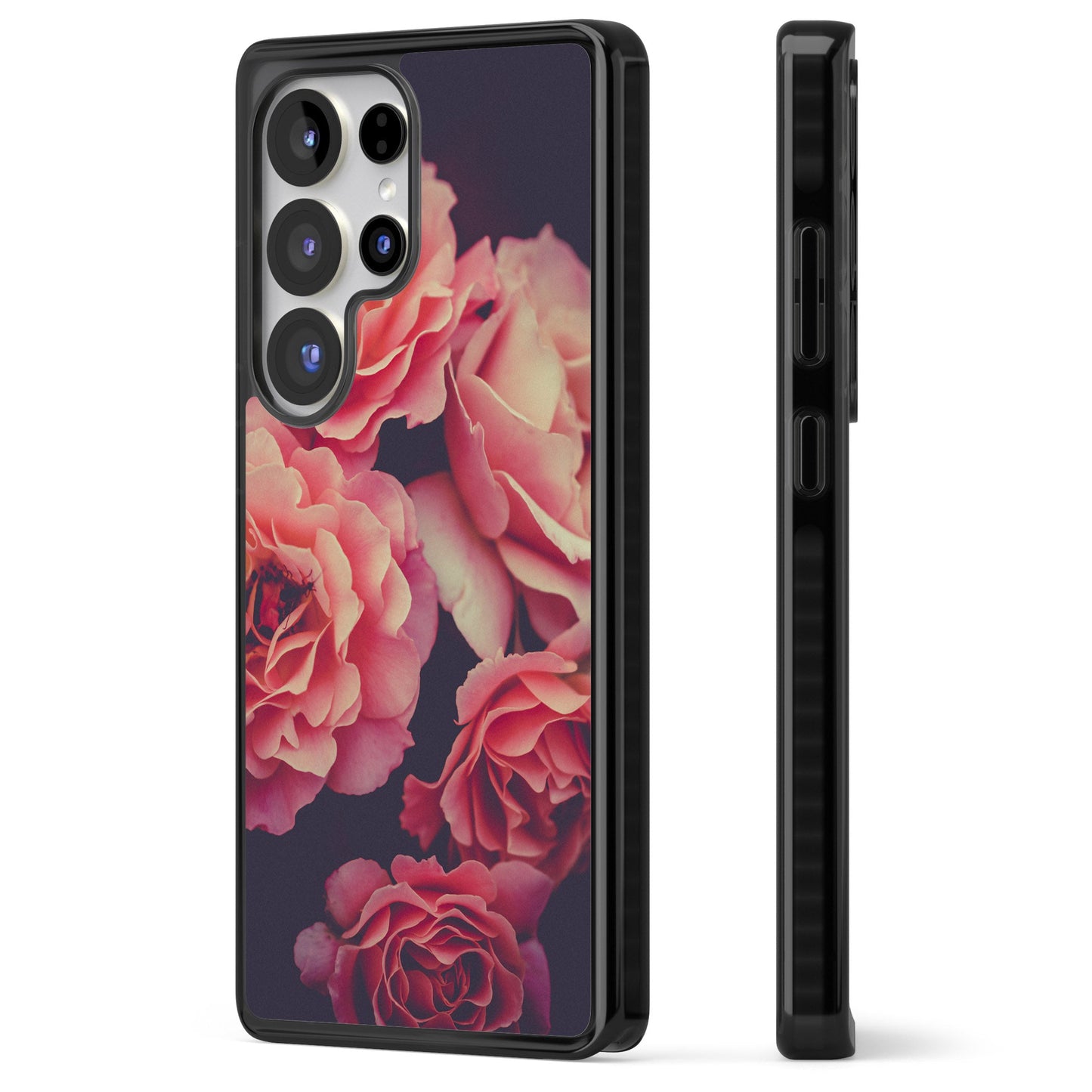 Mitternachtsrosenblüte