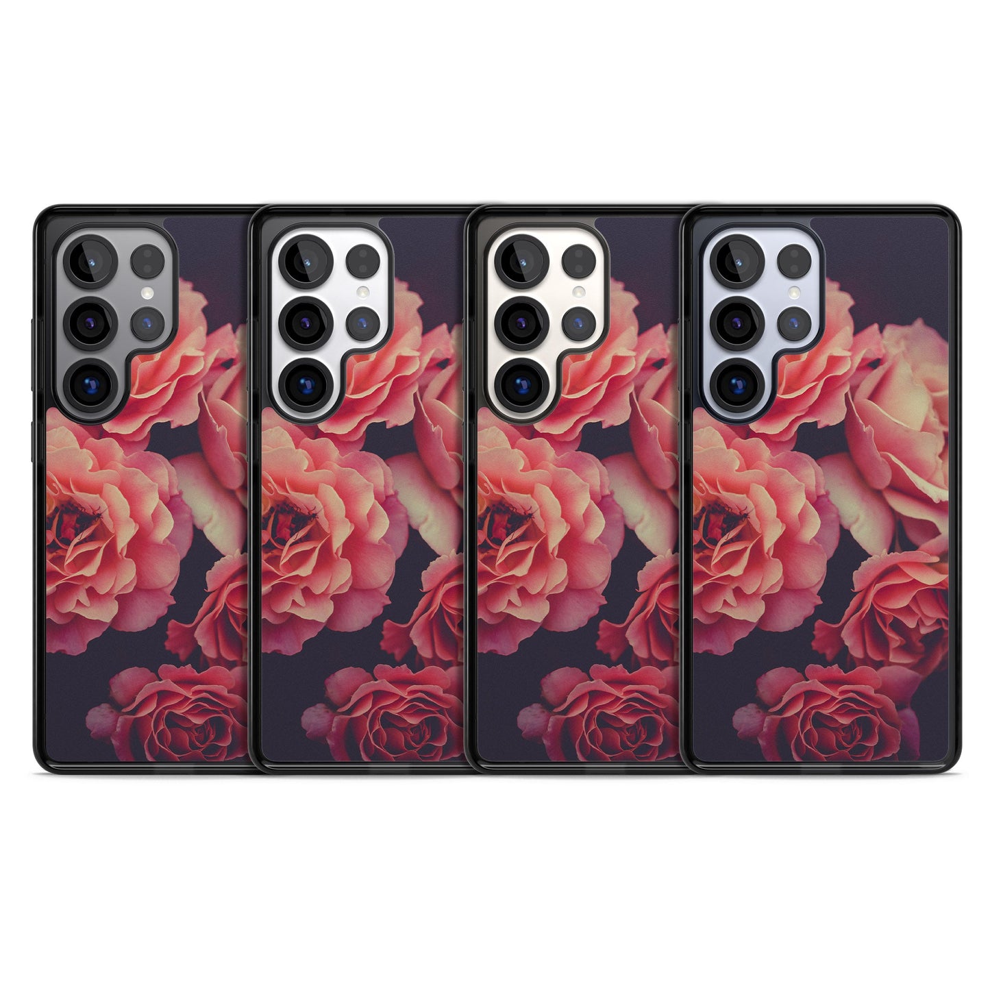 Mitternachtsrosenblüte