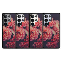 Mitternachtsrosenblüte