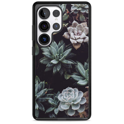 Succulent Bloom Mixed