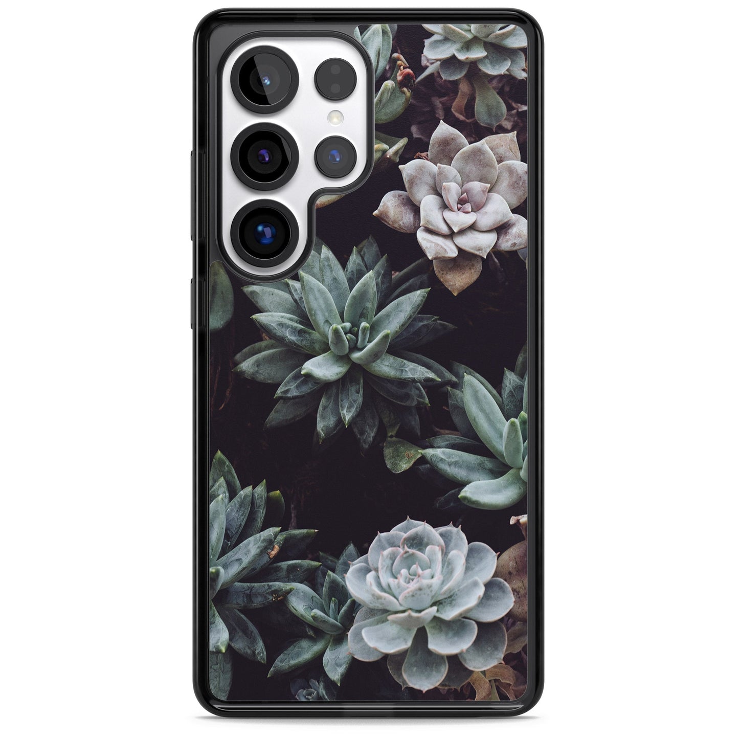 Succulent Bloom Mixed