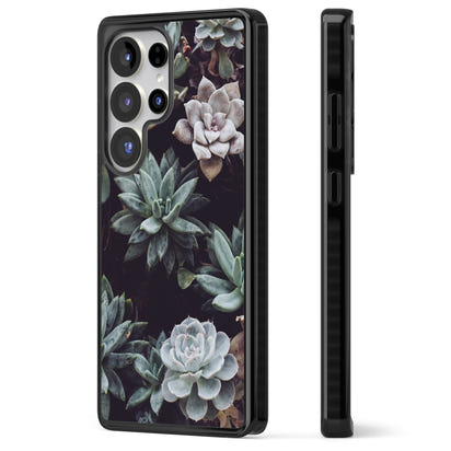 Succulent Bloom Mixed