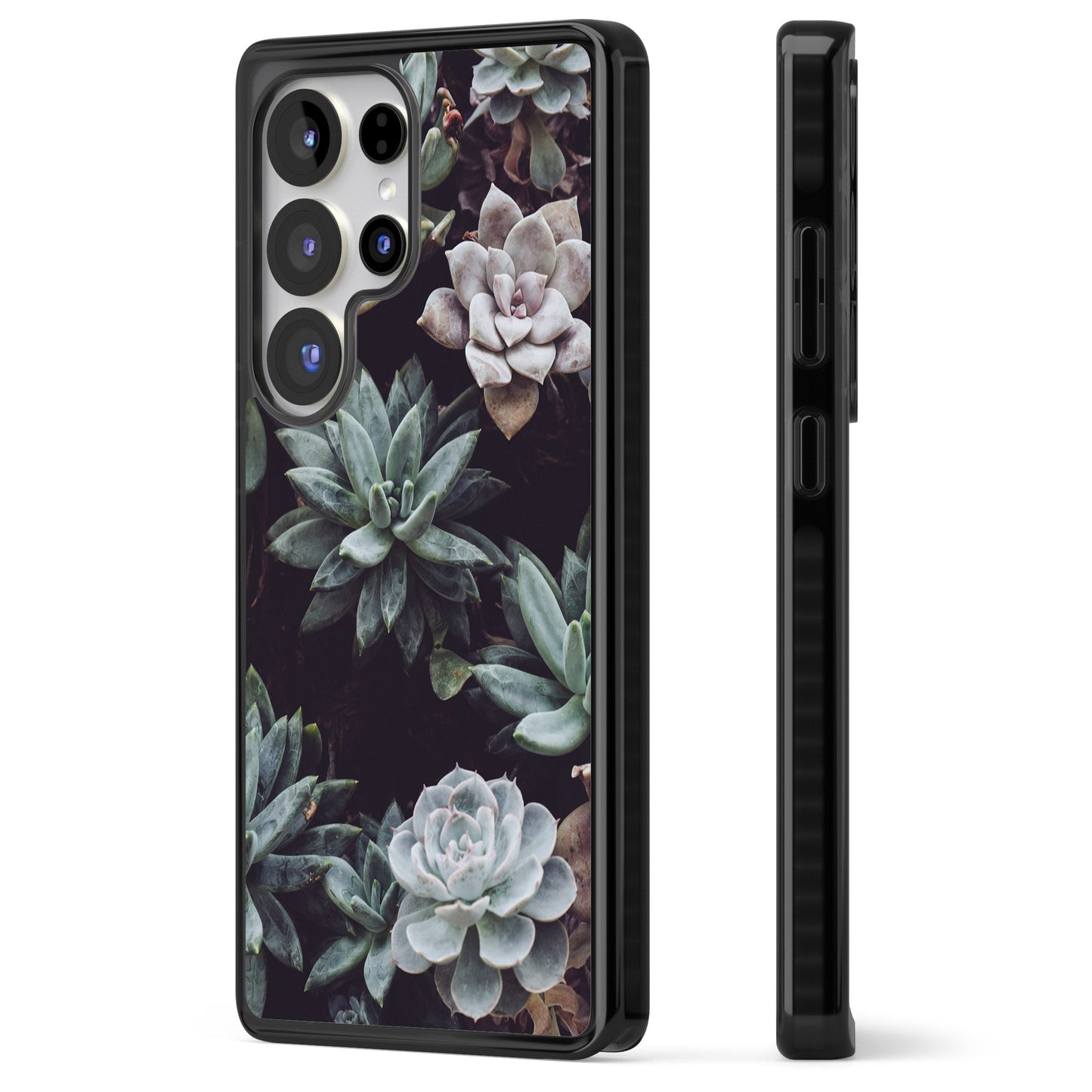 Succulent Bloom Mixed