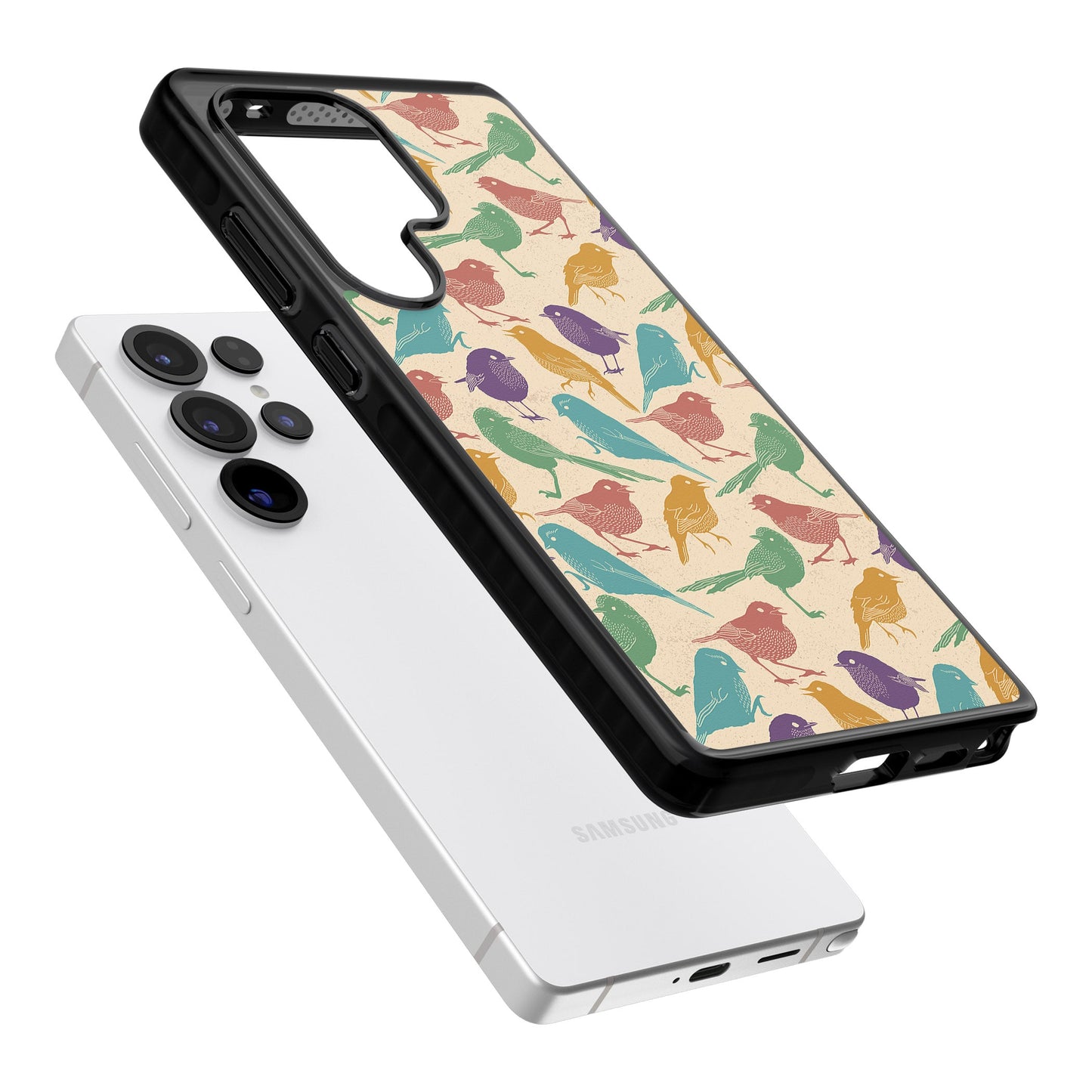 Colorful Feathered Friends